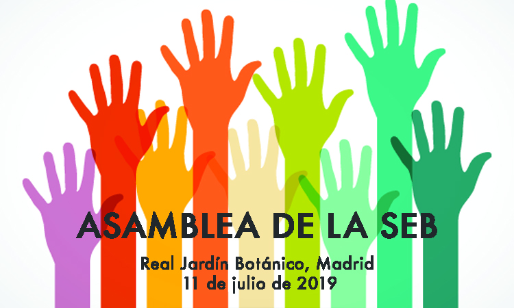 Asamblea 2019